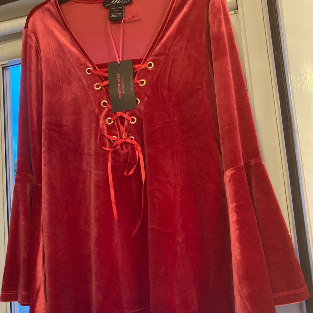 Red velvet dressy top